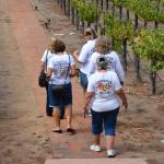 TourdSoCal_1_0404 (September 12, 2015)